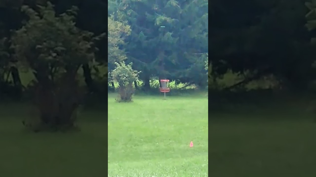 What Are You Throwing Here? | 303ft | MVP Ohm #shorts #discgolf #discgolfer #discgolfdaily #frisbee