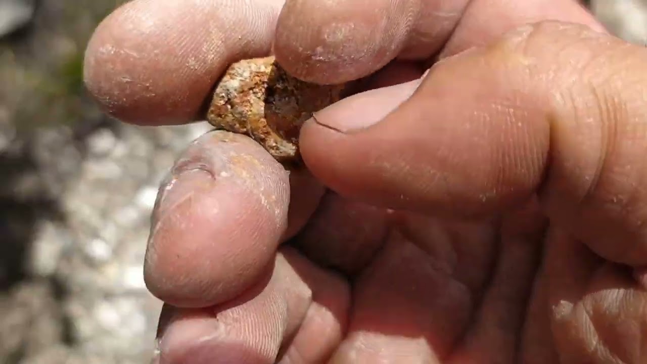 Não posso desistir dessas emoções. Convidei um inscrito para procurar pepitas de ouro na serra 