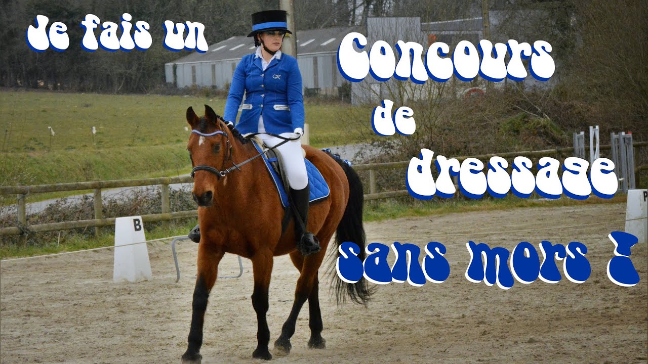 Vlog n°25 : Je fais un concours de dressage sans mors ! - Reprise Libre en Musique