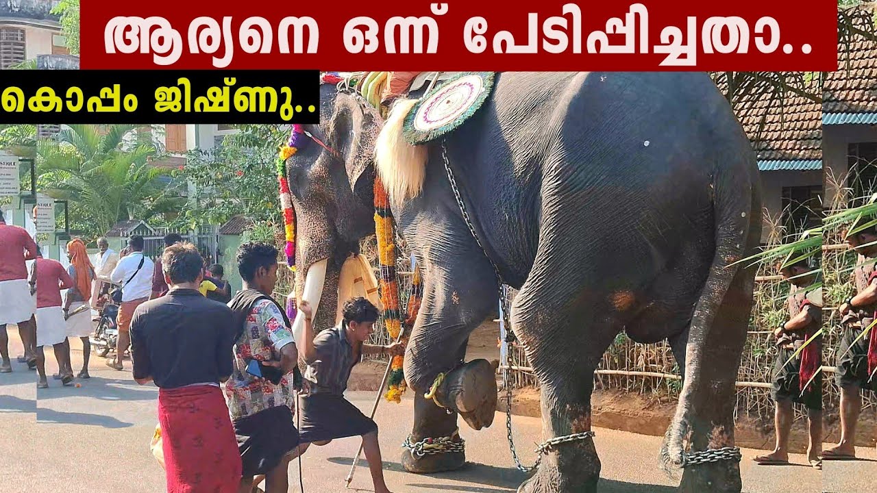 അടി ഇപ്പോ കിട്ടിയത് തന്നെ.. കൊപ്പത്തിന്റെ ഒരു കാര്യം.. Valiyapurakkal Aryanandhan|Koppam Jishnu new