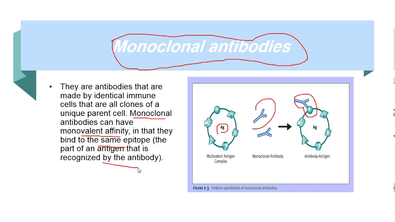 د علا الفقي  Immunoassay Part I  Bioanalysis2   الدبلوم المهني للكيماء الحيوية