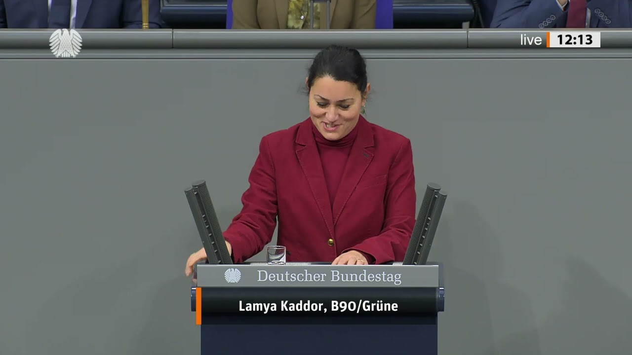 Antwort auf AfD-Antrag zur Clankriminalität | 29.01.2026