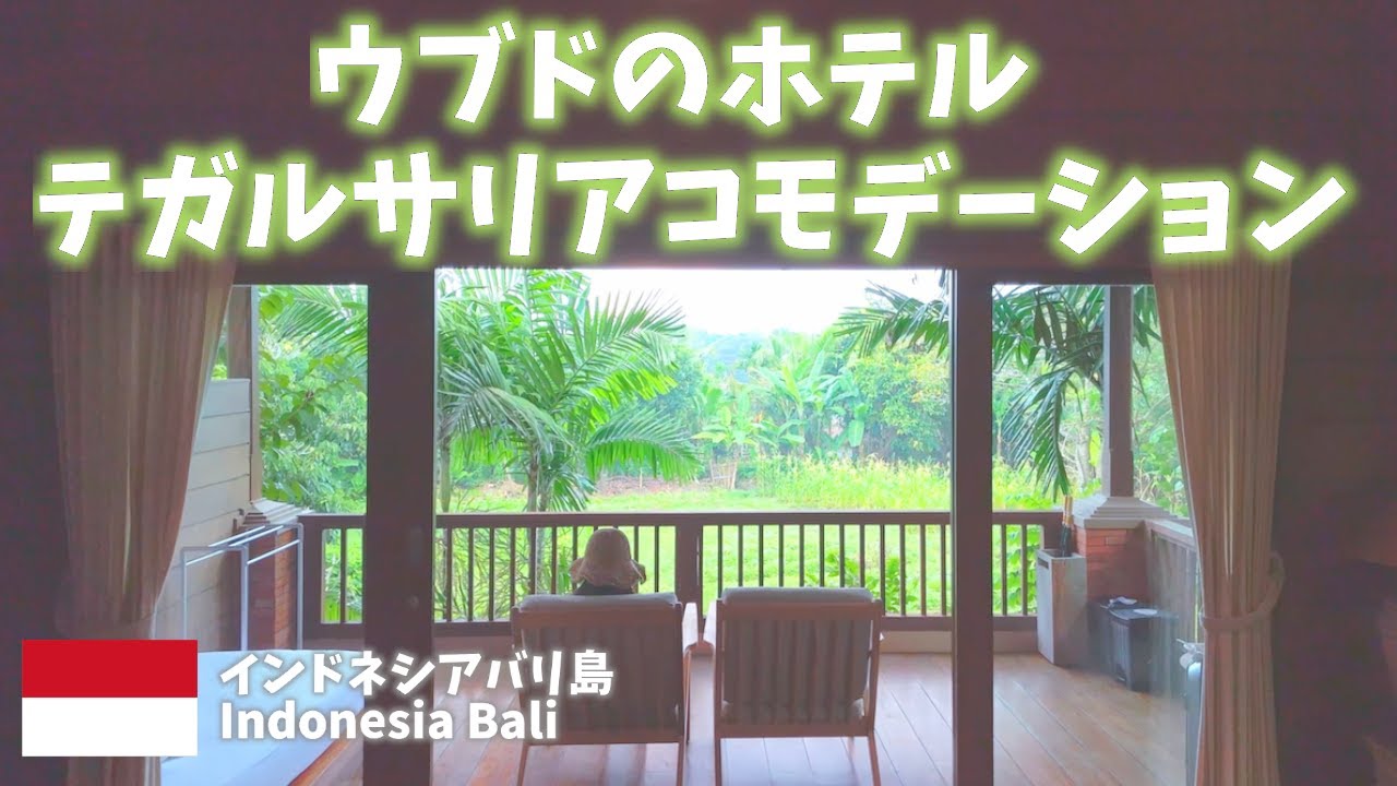 【インドネシアバリ島旅行】ウブドにある自然豊かなホテル、テガルサリアコモデーションでリスが遊びにくるテラスの朝食が最高！[Indonesia Bali trip]Ubud hotel