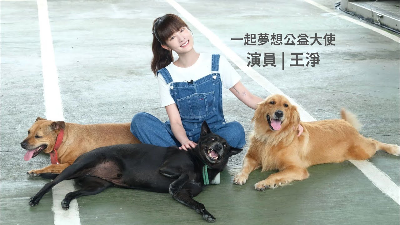 王淨代言 ▍一起夢想動保類微型社福公益大使 _ 讓流浪動物都能找到家