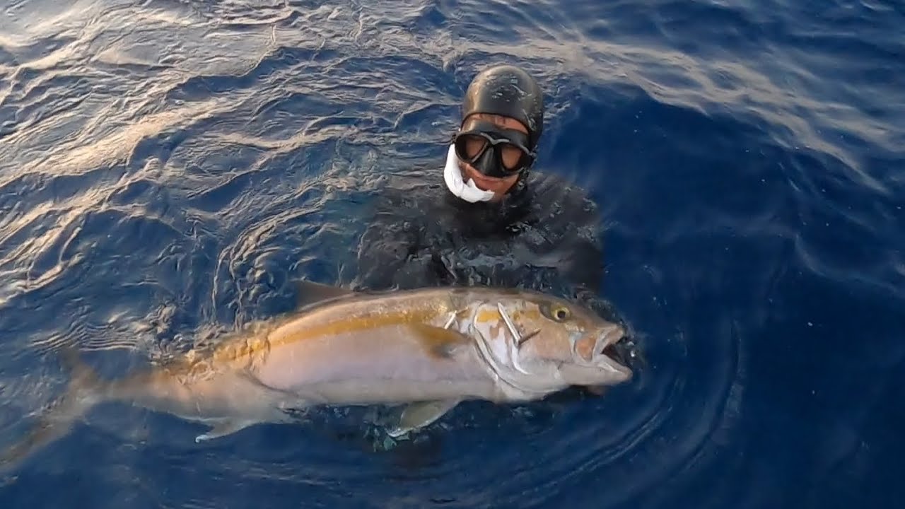 Spearfishing Cyprus Mix..
