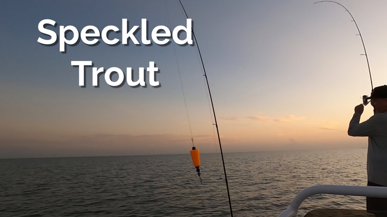 Guiding The Reefs Rockport Texas Speckled Trout