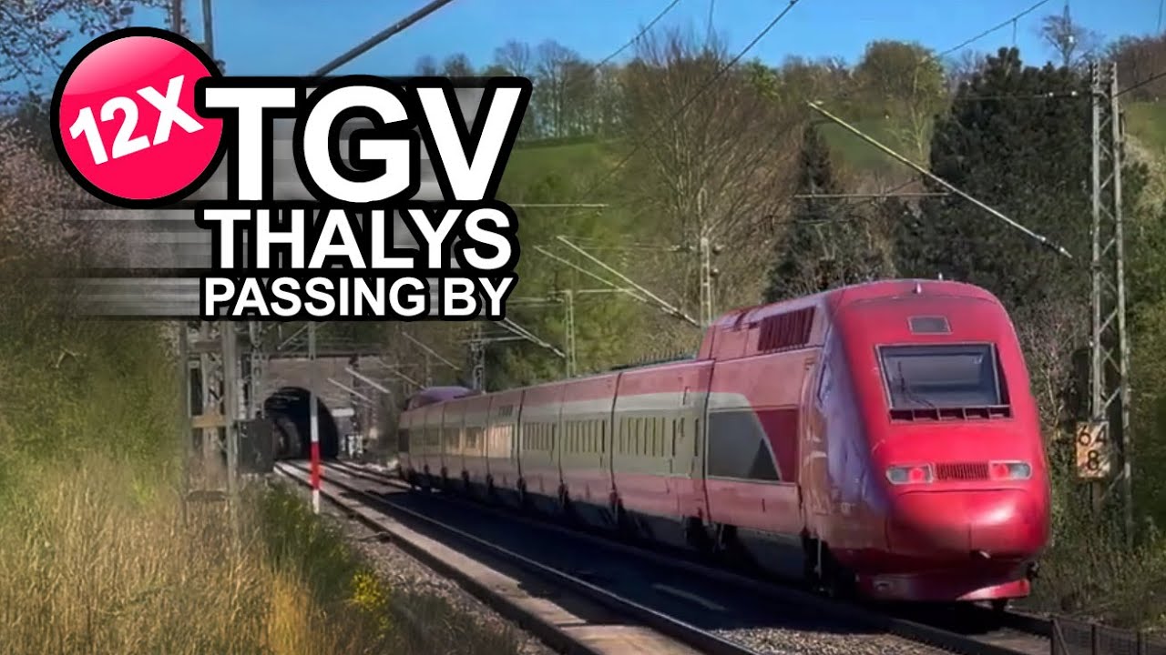 🇫🇷 12x TGV Thalys Compilation: Durchfahrt & Vorbeifahrt! [4K]