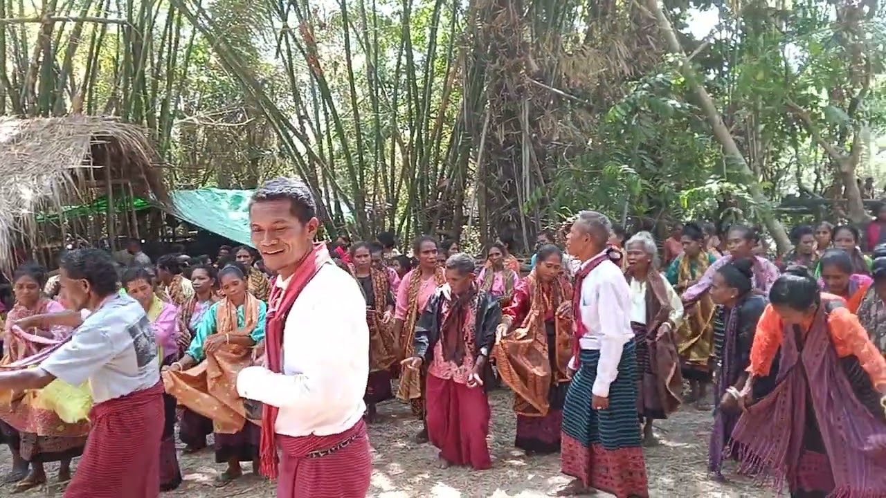 Gren mahe maumere Tana,ai kec waiblama 2024