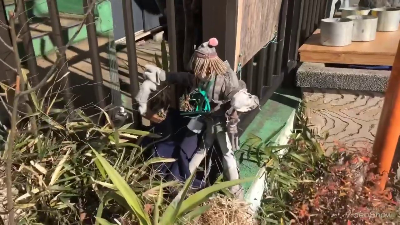 Encuentro un duende en Jap&oacute;n