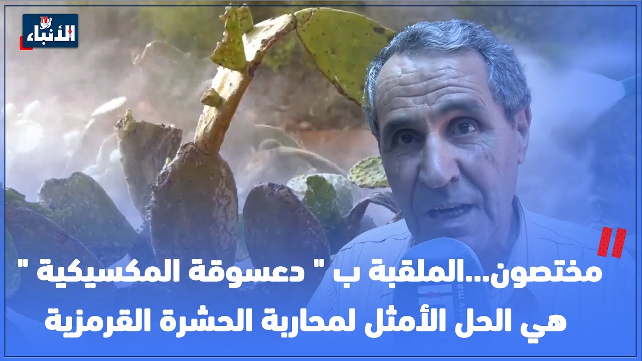 مختصون...الملقبة ب 