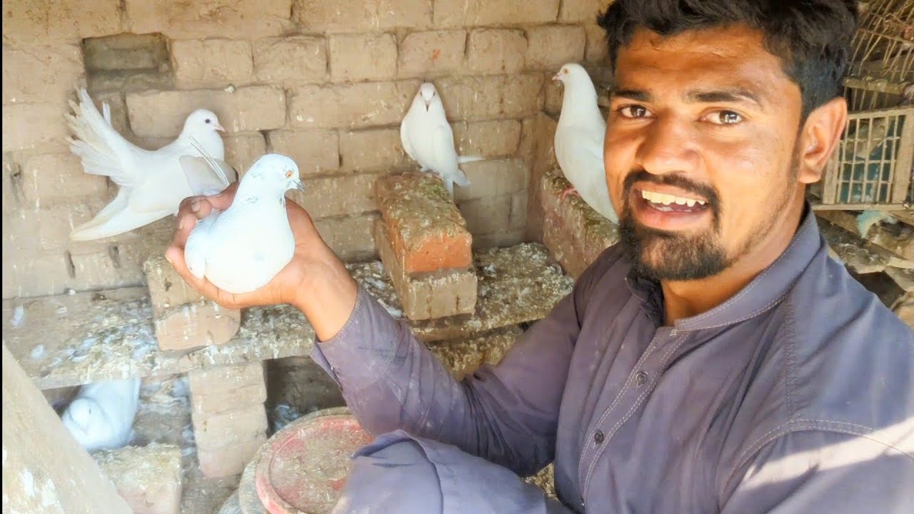 Finly hamara kaboter mil gaya | Adil Shah 