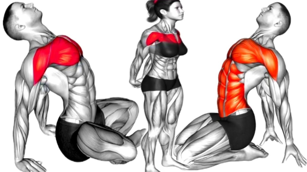 7 Best Chest & Shoulder Stretching Exercises | No Equipment Needed