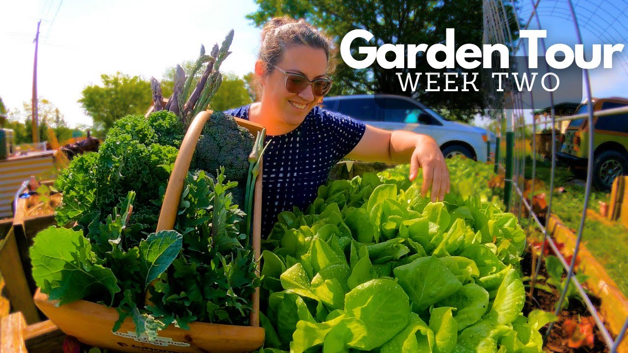 2024 Garden, Greenhouse & HARVEST Tour, Week 2 | Zone 7 Gardening