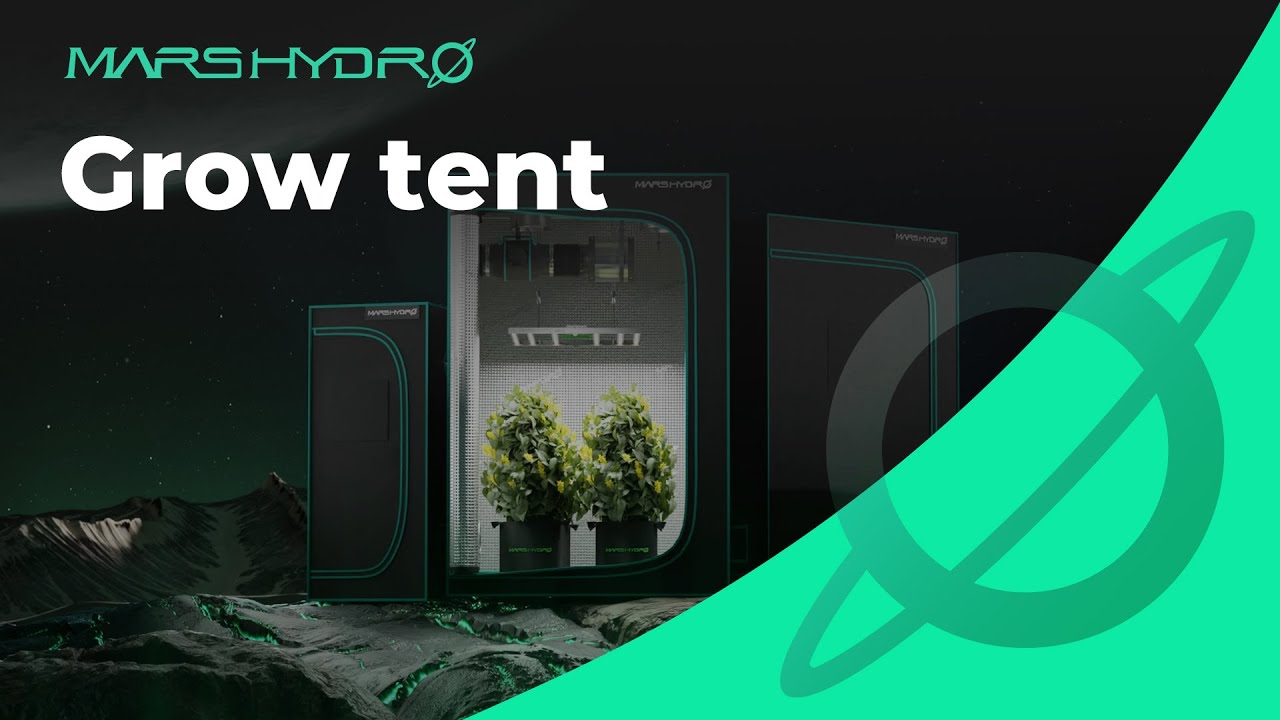 Mars Hydro Grow Tent: Your Best Indoor Grow Manager #marshydro #growtent