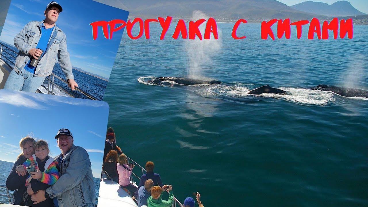 Жизнь в США/ Прогулка  с китами / Monterey Bay / Whale watching /Калифорния