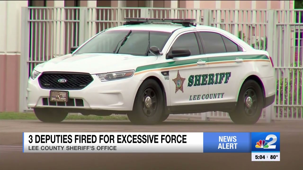 Three LCSO deputies fired; four others disciplined after excessive force investigation