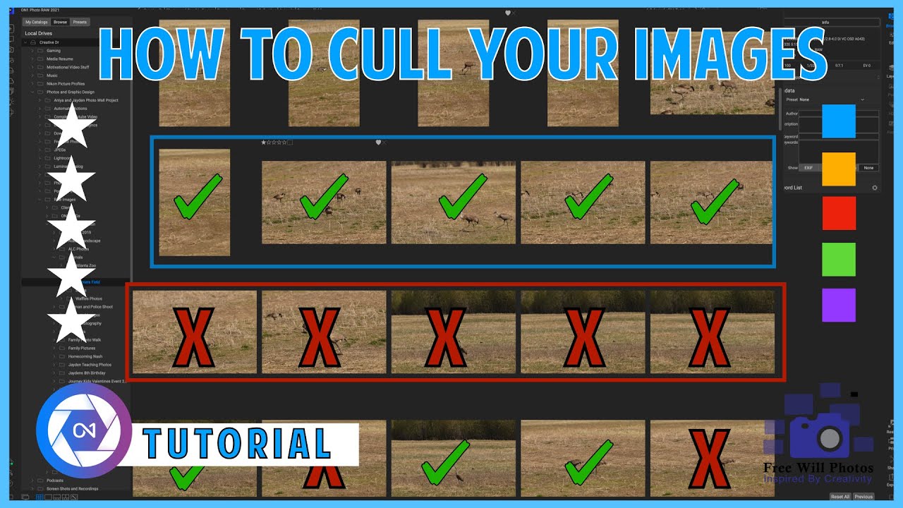 Learn The Truth About Culling Photos With ON1 In 15 Minutes