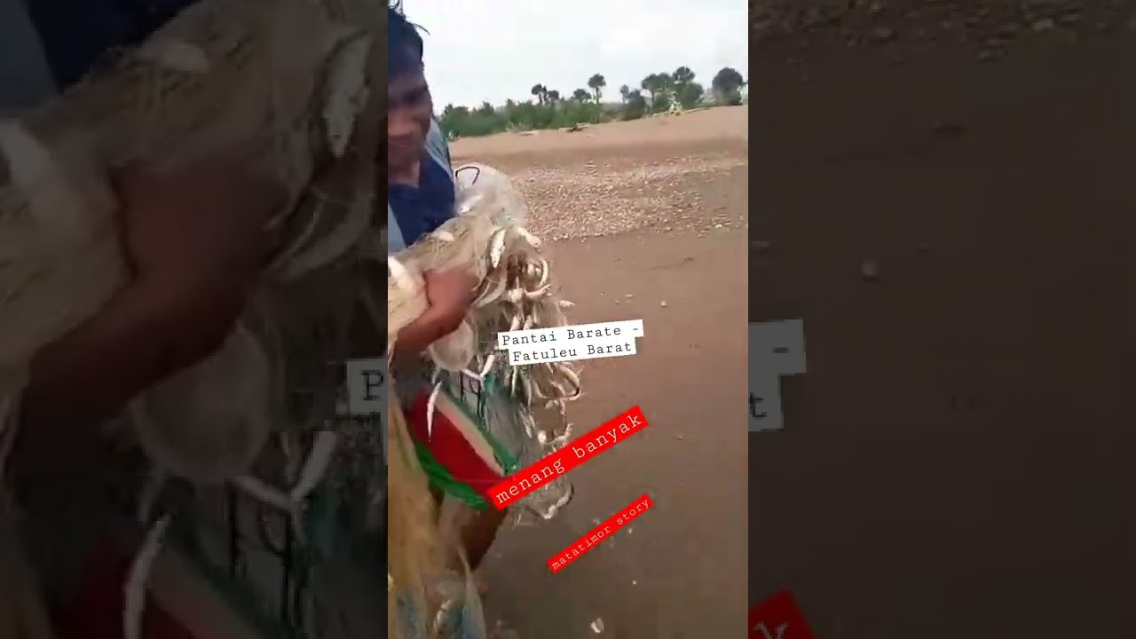 Hasil di Pantai Barate - Fatuleu Barat