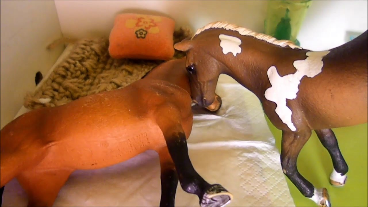 Clip + Court métrage schleich ~Coup de coeur~