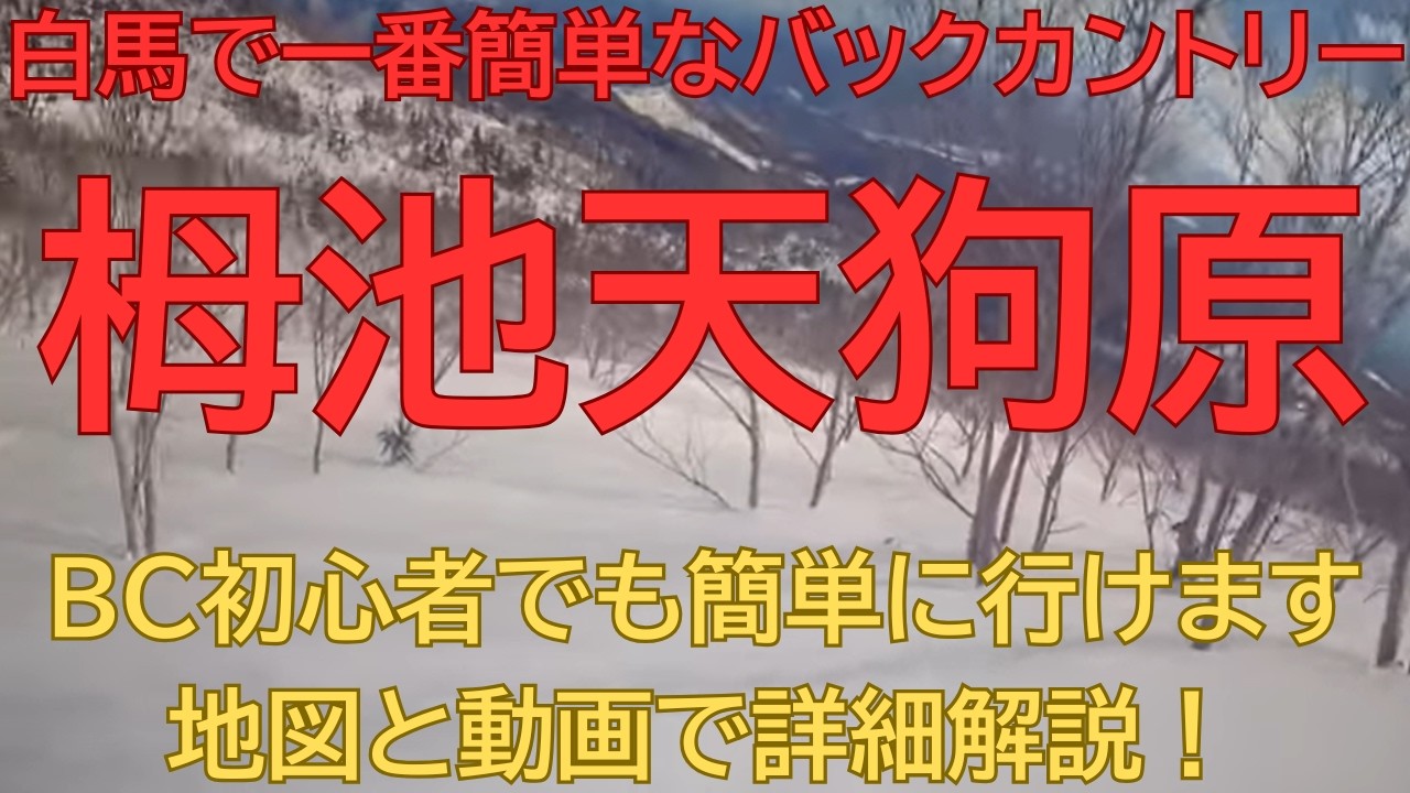 【日本語版】栂池高原バックカントリー「天狗原」ブッシュをかきわけツリーラン。2025年12月28日