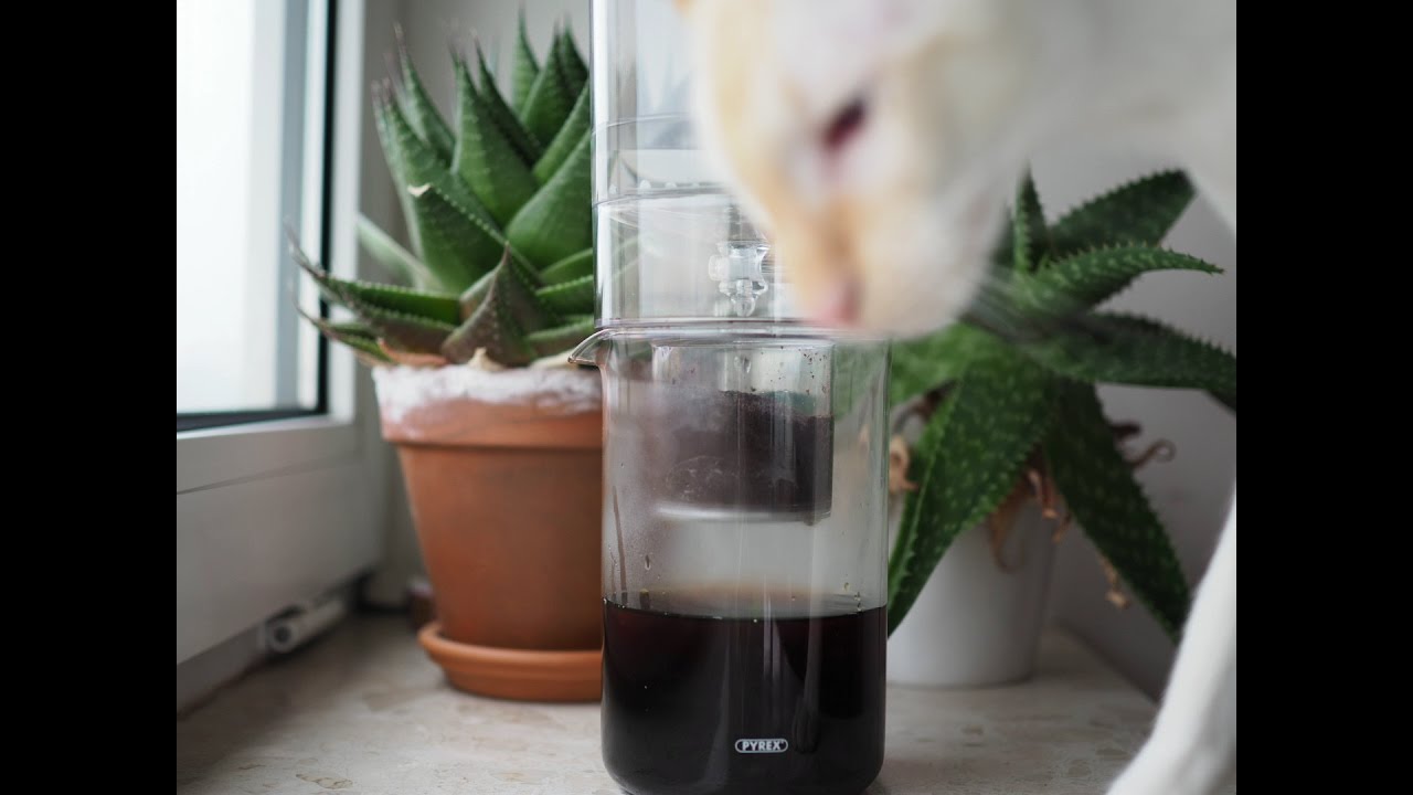 Time lapse of cold drip coffee maker Dripster