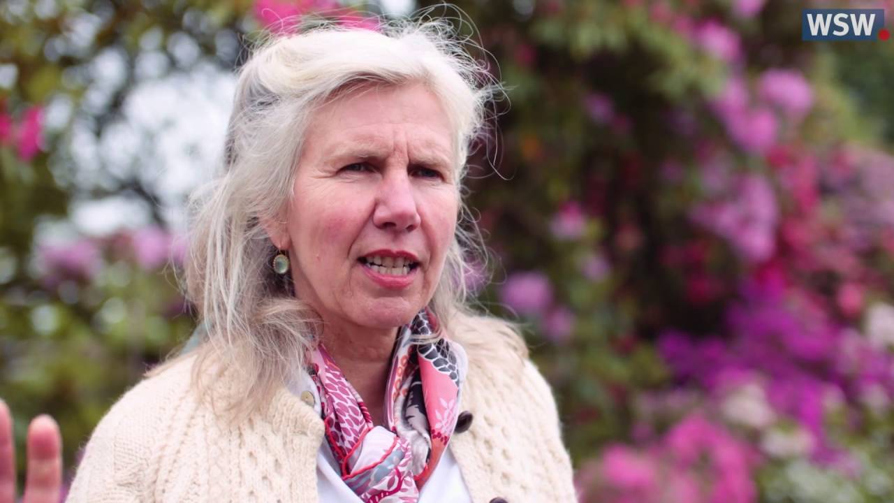 Staudengärtnerei Arends: Anja Maubach