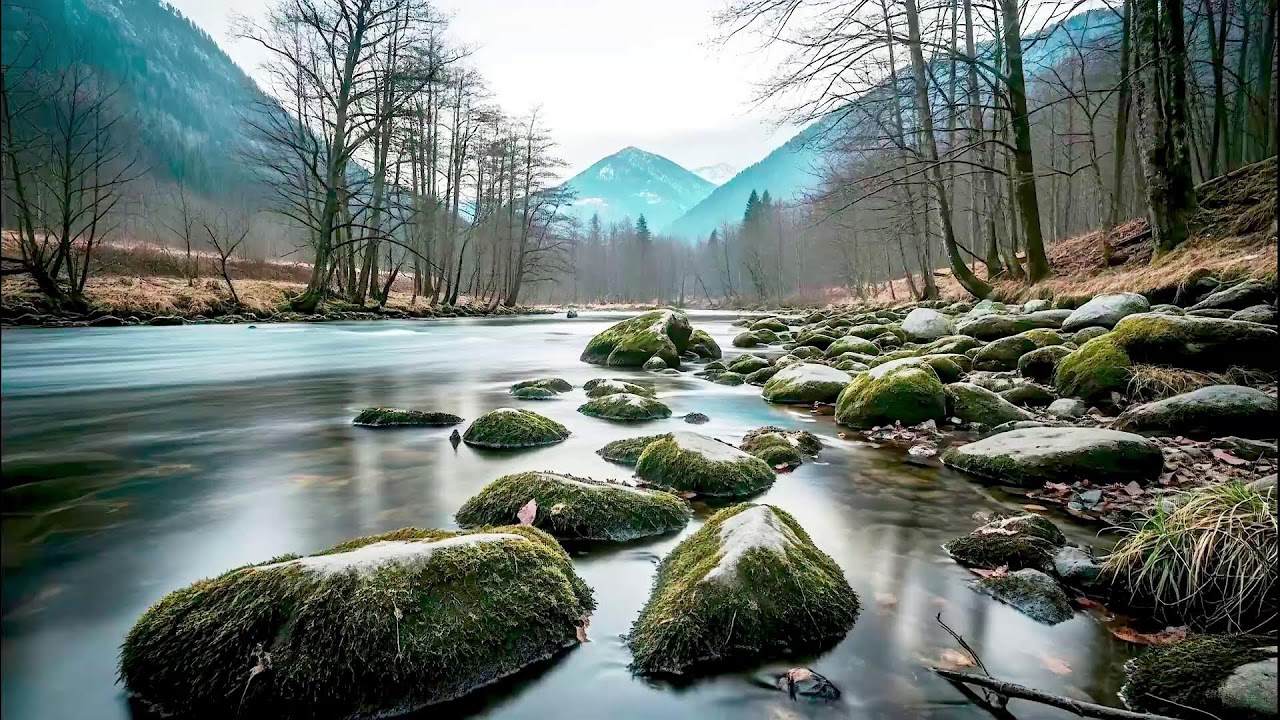Flowing River Sound for Deep Sleep | Calm Nature Noise for Wellness and Sleep Aid