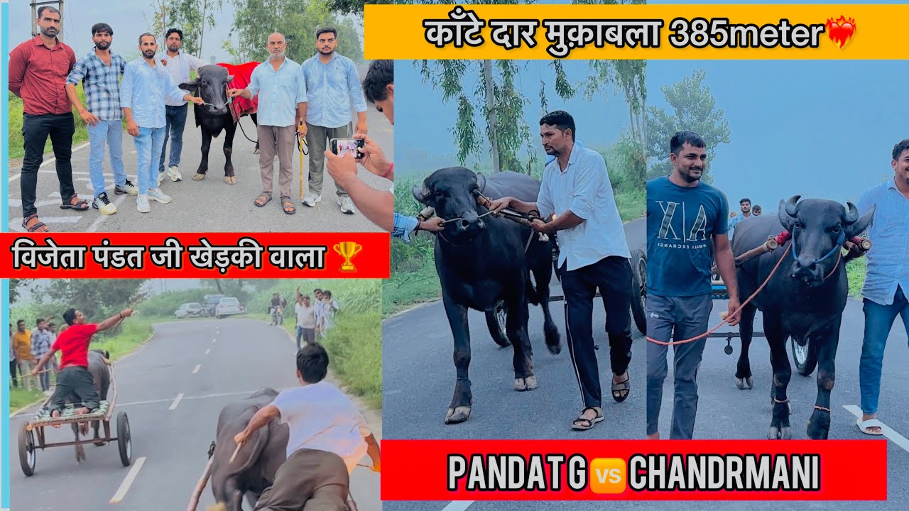 पंडत जी खेड़की 🆚 चंद्रमणि बिजनौर आज का बराबर मुक़ाबला 385mtr पंडत जी खेड़की वाला शिकारी विजेता रहा🏆