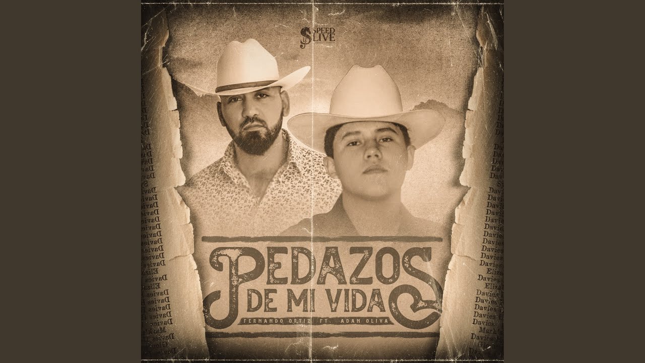 Pedazos De Mi Vida