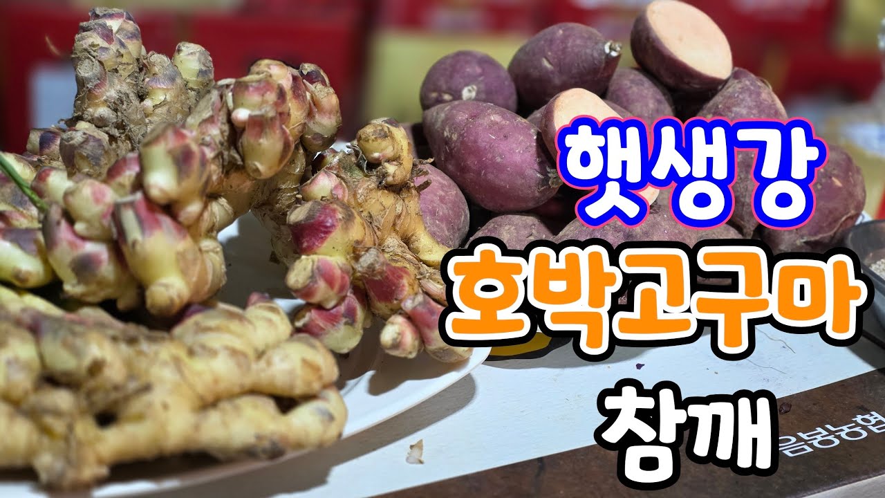 영주 햇생강 가격? 호풍미 호박고구마,햇참깨,김장용고추가루,청양고추가루