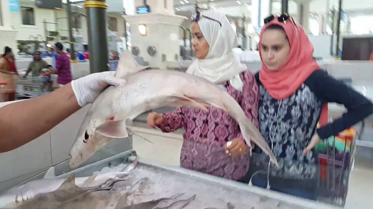 Cutting Grey Shark in slices at Fish Market in Sharjah Jubail UAE تقطيع سمك القرش الرمادي سوق السمك