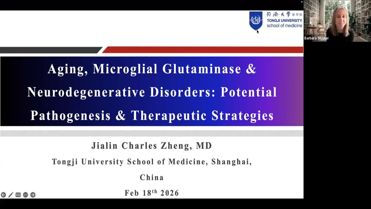 Aging, Microglial Glutaminase, and Neurodegenerative Disorders