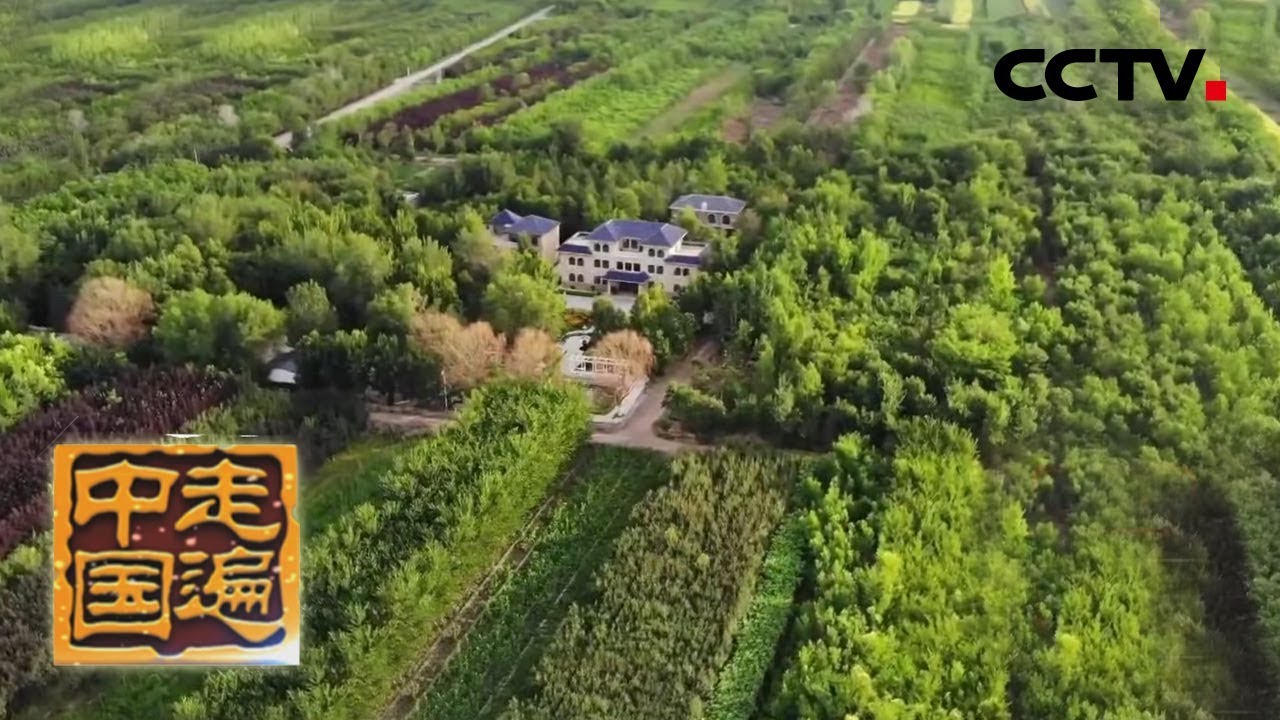 《走遍中国》系列片《天山脚下筑粮仓》 昌吉市人是如何将戈壁变绿洲的呢？20190819| CCTV中文国际
