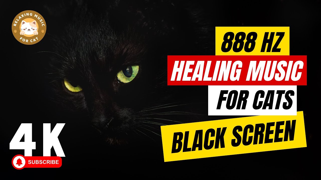 888 Hz Healing Frequency Music for Cats Black Screen with Purring 🐱 Relaxing Music for Cat