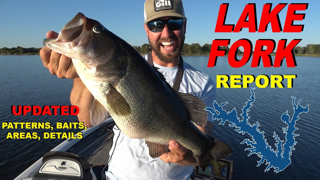 Keys to Fishing Lake Fork! Fishing Report for BIG OVERS and BIG UNDERS