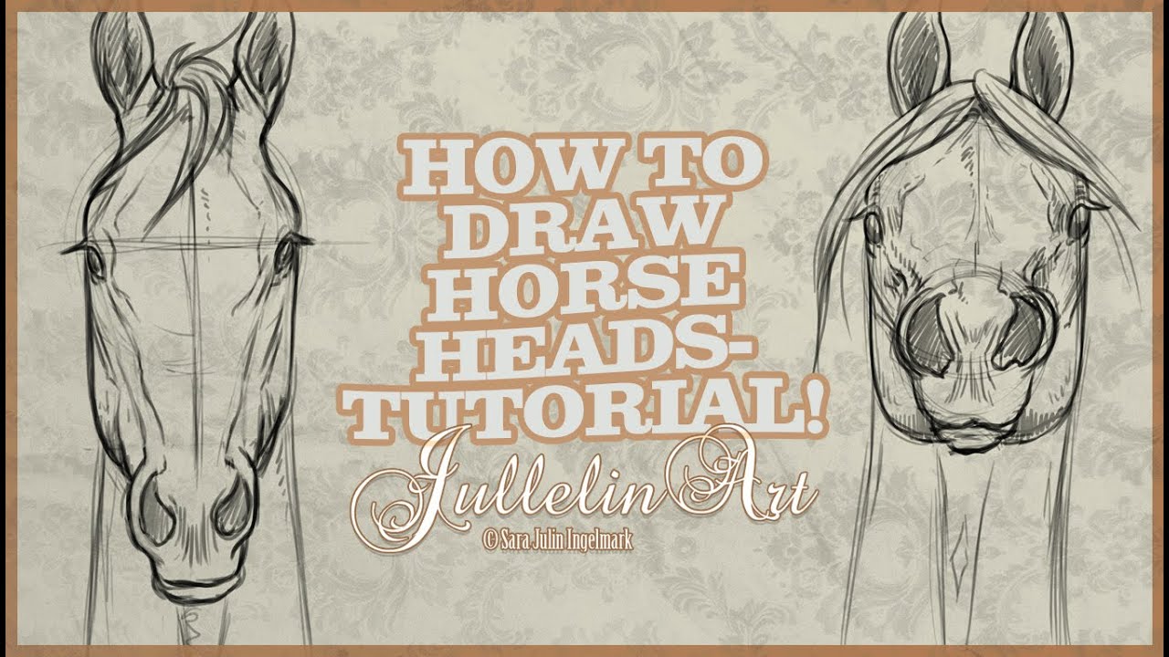 How To Draw Horse Heads From The Front - Tutorial!