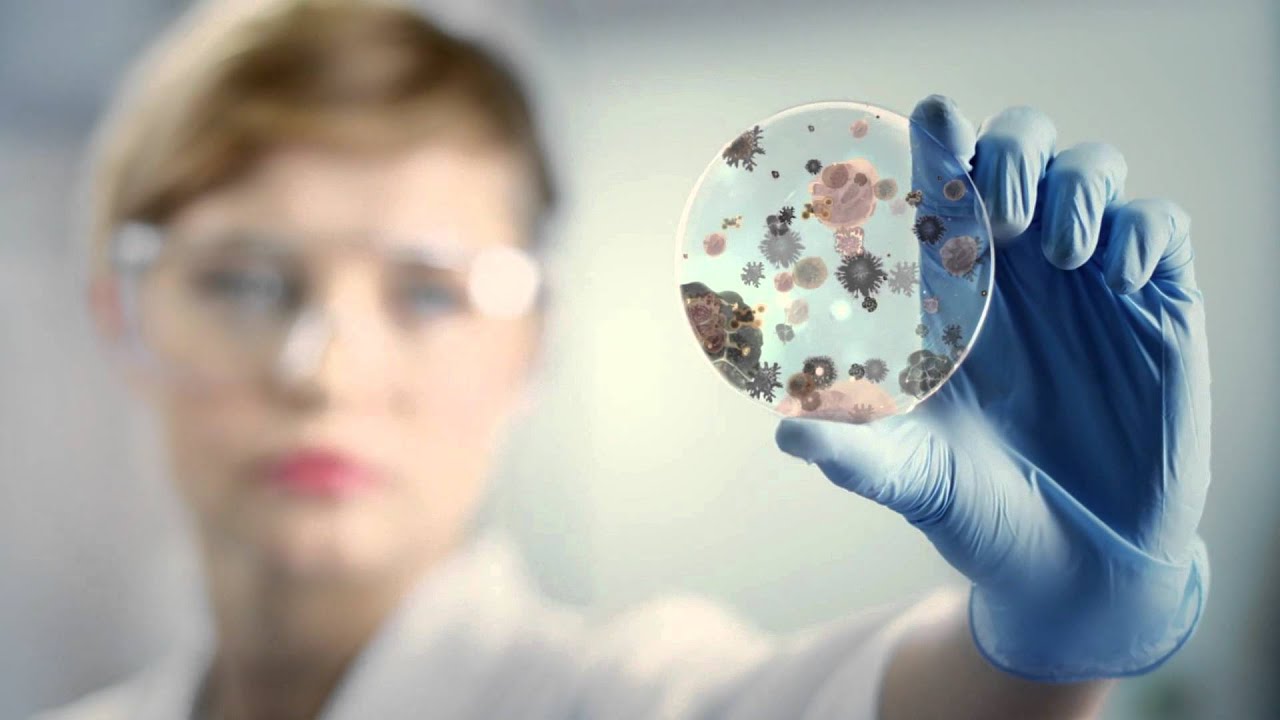 Why Animal Health Matters