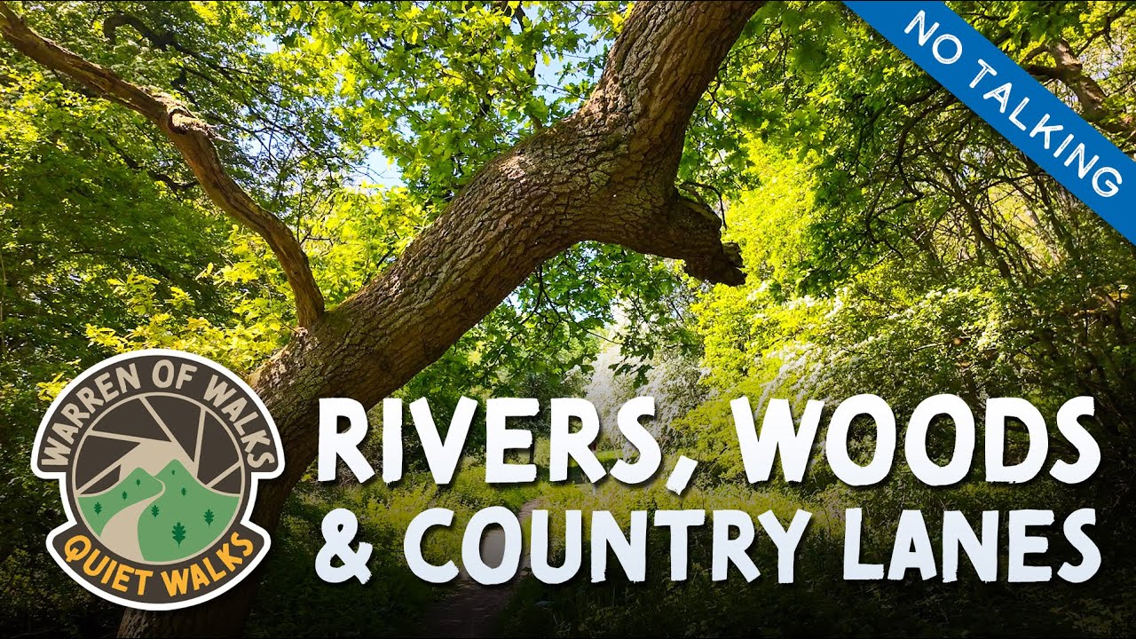 🌳 Peaceful Woodland Walk along the River Etherow - TAMESIDE, MANCHESTER