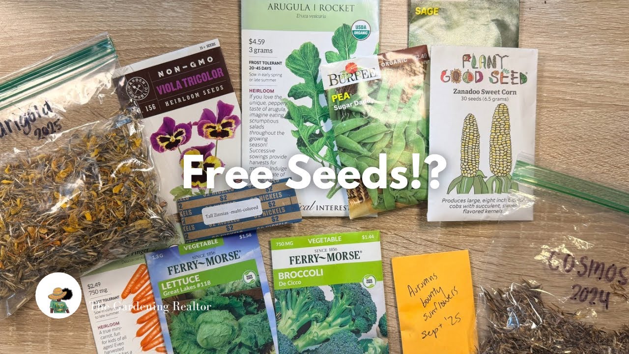 FREE Seeds?! My First Seed Swap 