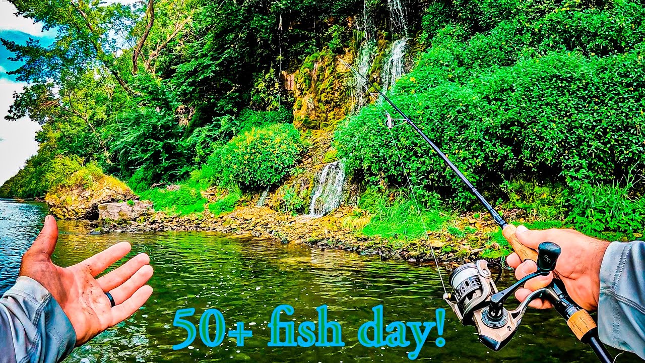 Epic late-summer river wade! | Cannon River, MN (nonstop fish all day + found a waterfall!)