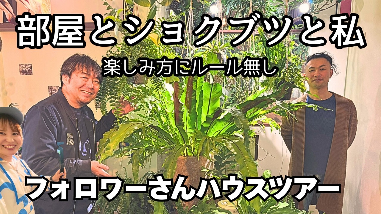 ショクブツの楽しみ方にルールなし！家の大半が植物のフォロワーさん宅に行ってみたらアイデアと植物愛のあふれたステキハウスでした！
