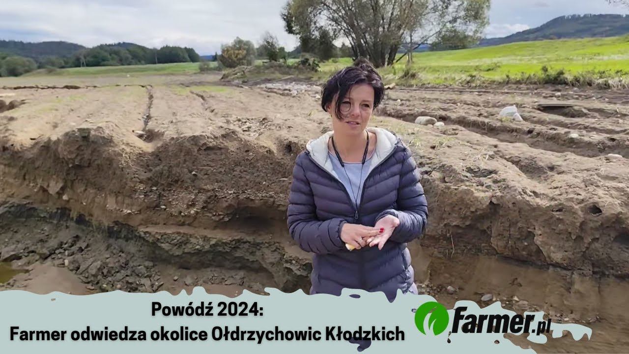 Powódź 2024: Farmer odwiedza rolników - stan pól w Ołdrzychowicach Kłodzkich | Farmer.pl