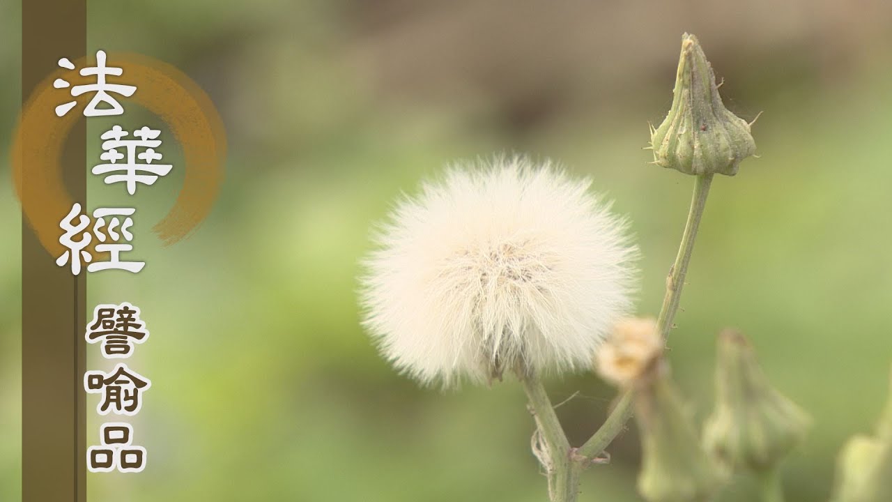 【靜思妙蓮華】法華經譬喻品 - 時分有限 慧命永恆 - 20201105 第539集