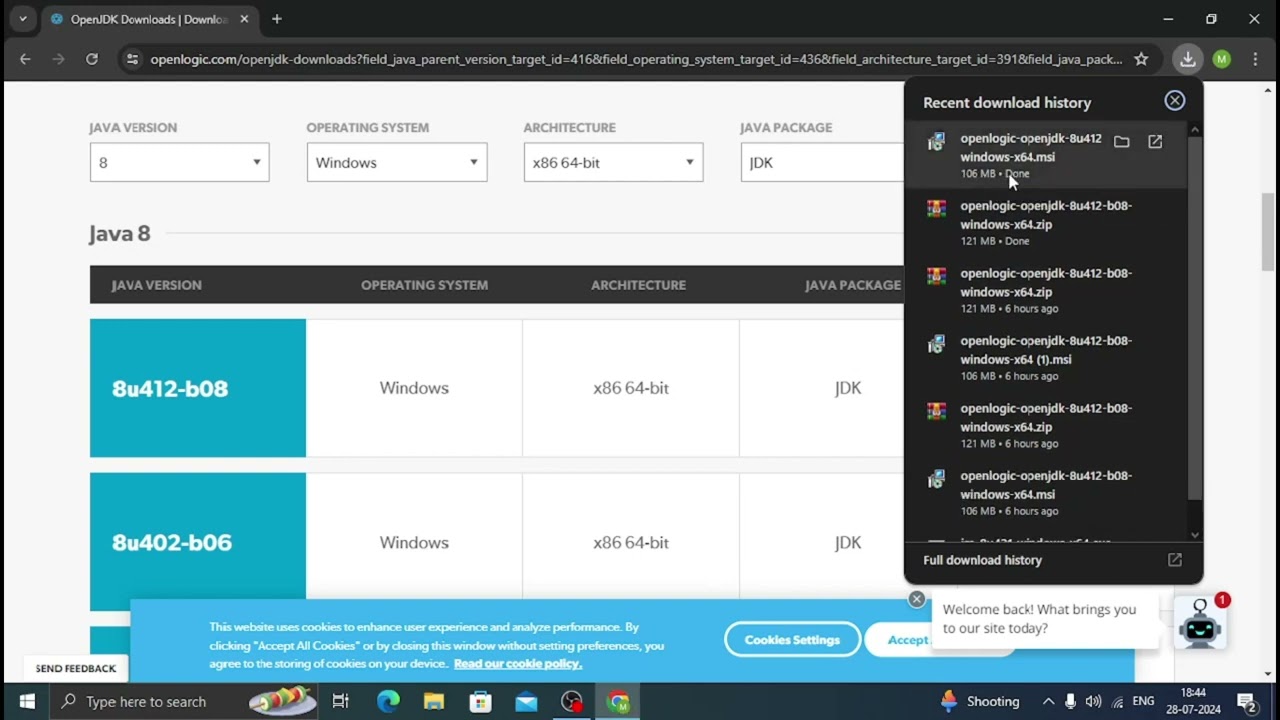 How to download and install Java JDK 8 without oracle account on windows 10 [QUICK & EASY]