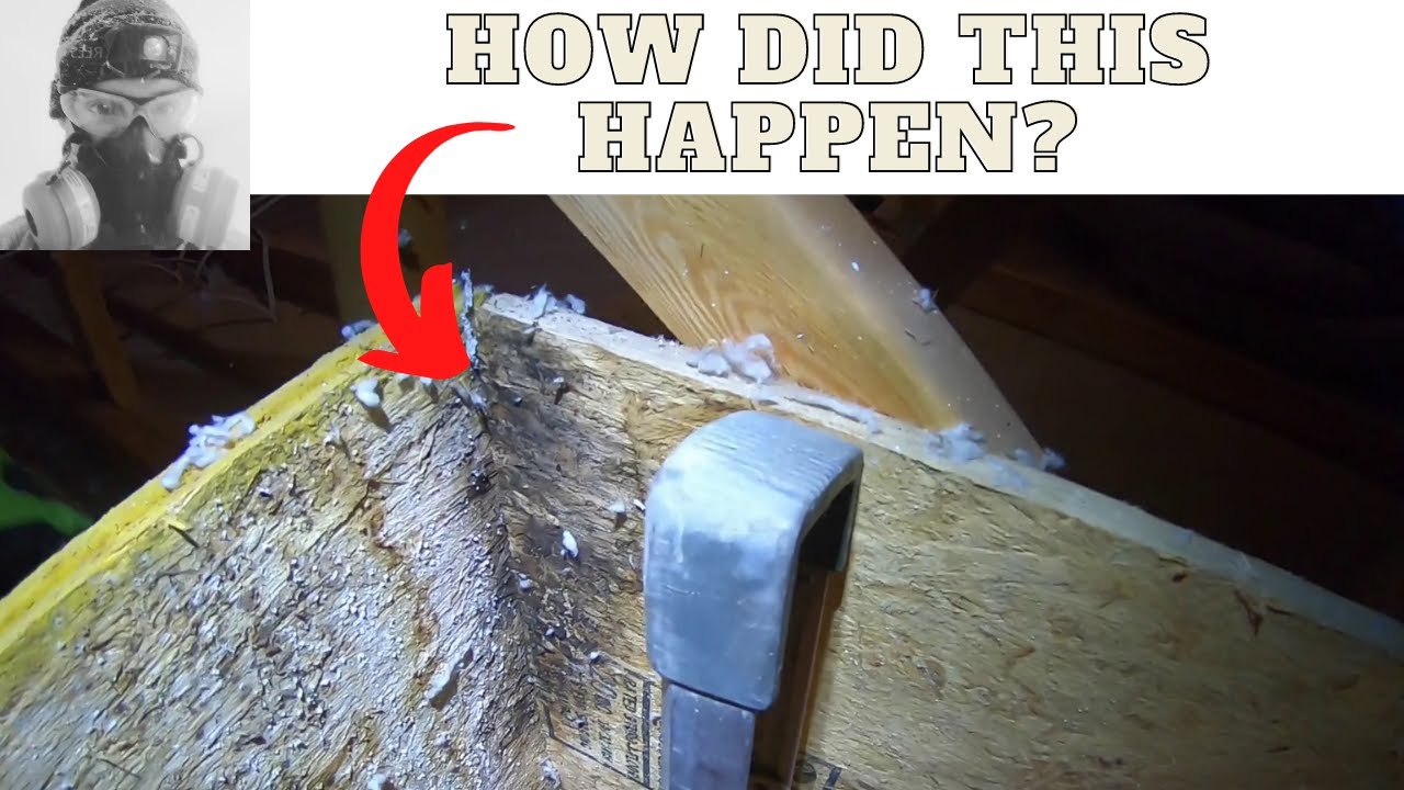 ROOF LEAKS - How to find them from your attic