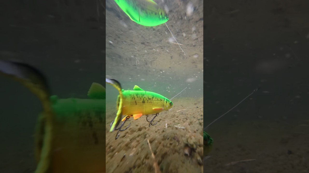 Savage Gear Line Thru Whitefish at www.charliesfishing.com #lures #lure #fishing #predatorfish