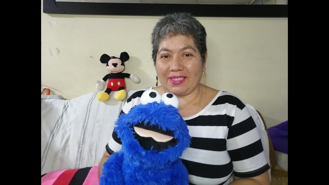 PASO A PASO PELUCHE MONSTRUO COME GALLETAS (PLAZA SESAMO)