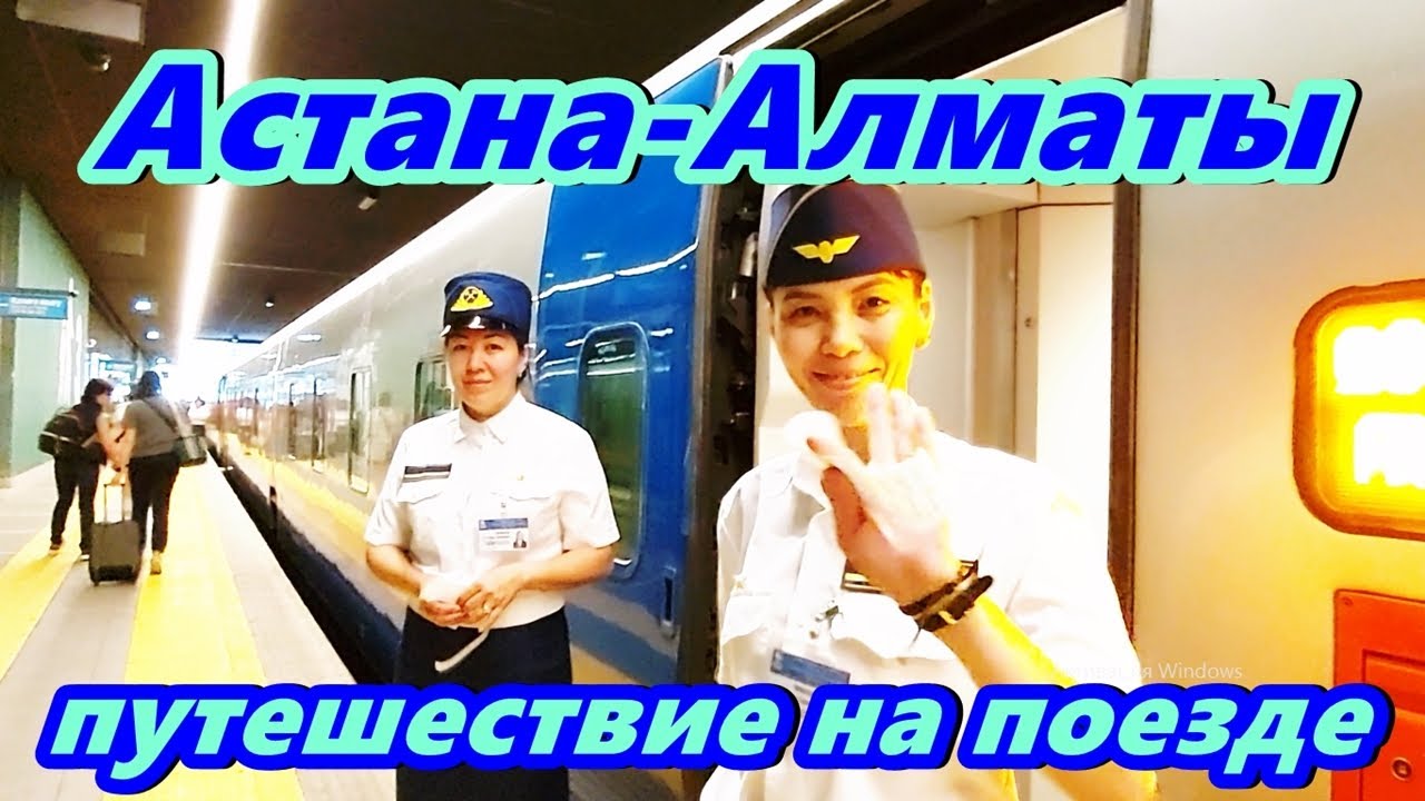 Поездка из столицы Казахстана в Алматы на поезде Тальго с котом