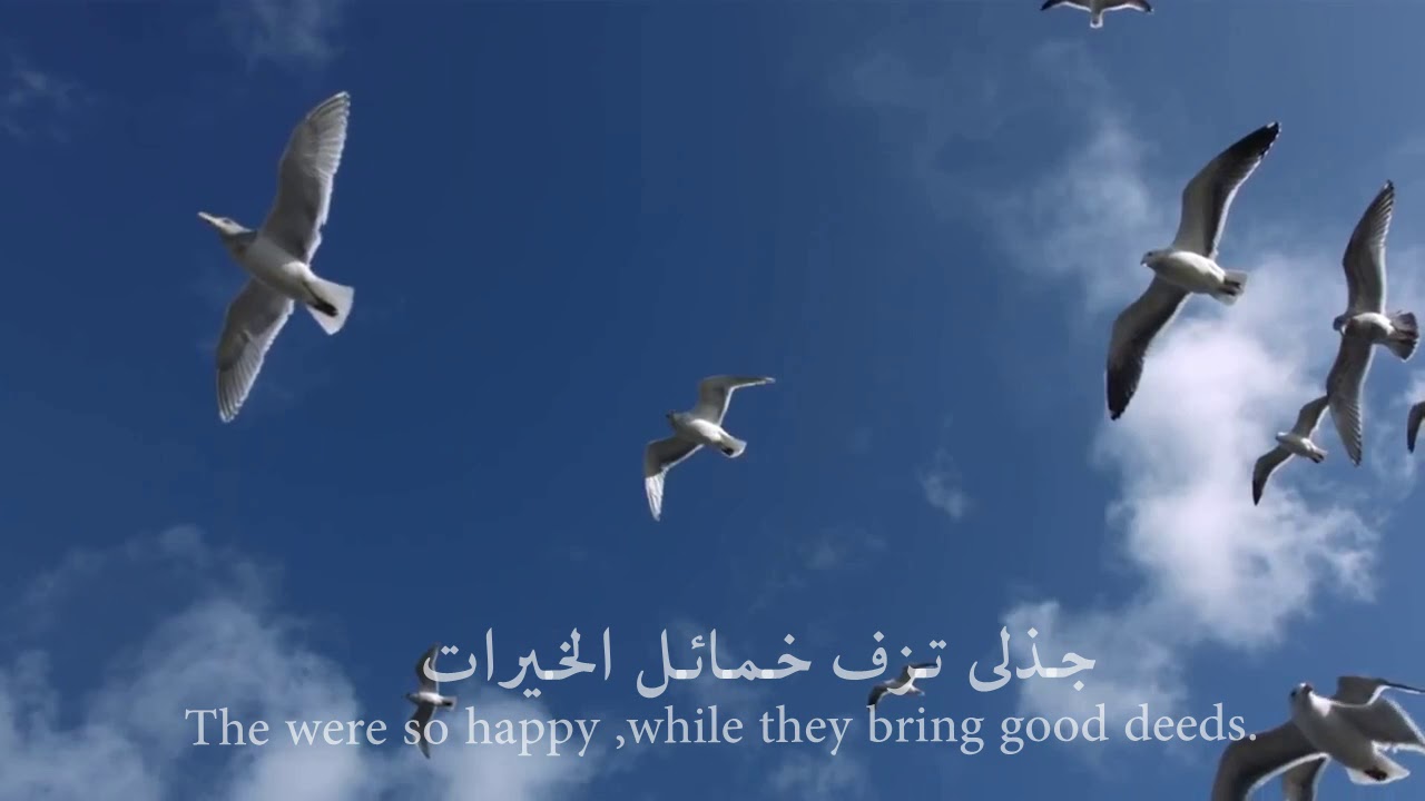 خفق الفؤاد | 