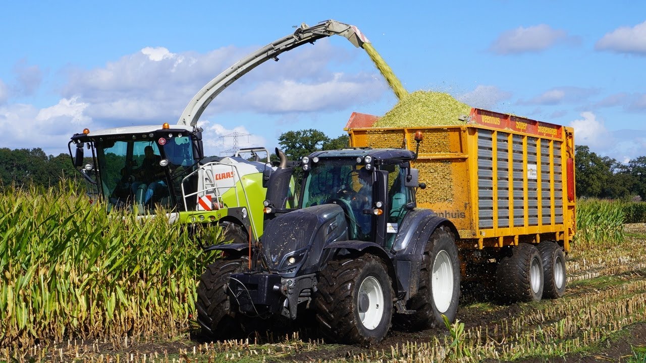 Mais 2024 | Claas | Valtra | New Holland | Hoftijzer Lammertink Lochem | Maishakselen | Mais silage